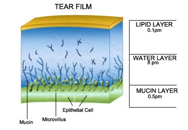 A photograph showing water droplets on a surface.